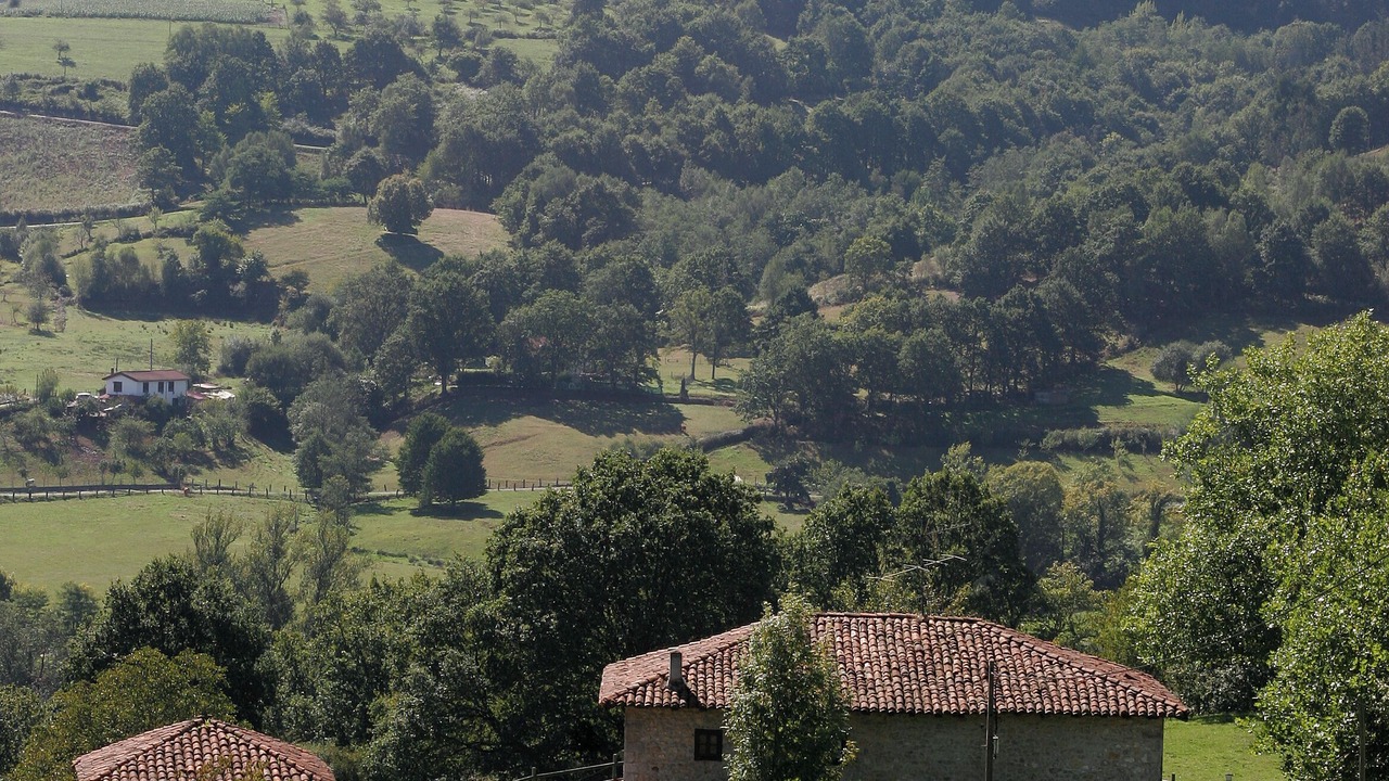 Photo of Outdoor in Vallobal