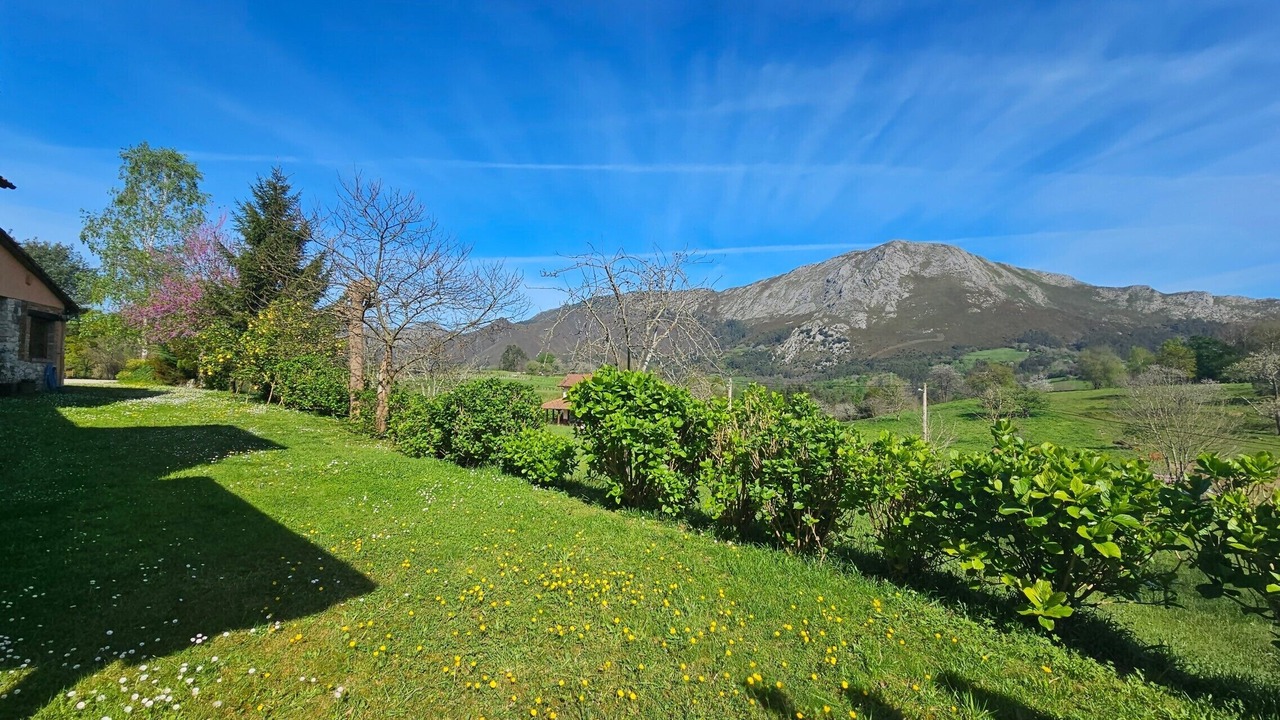 Photo of Outdoor in Cueli