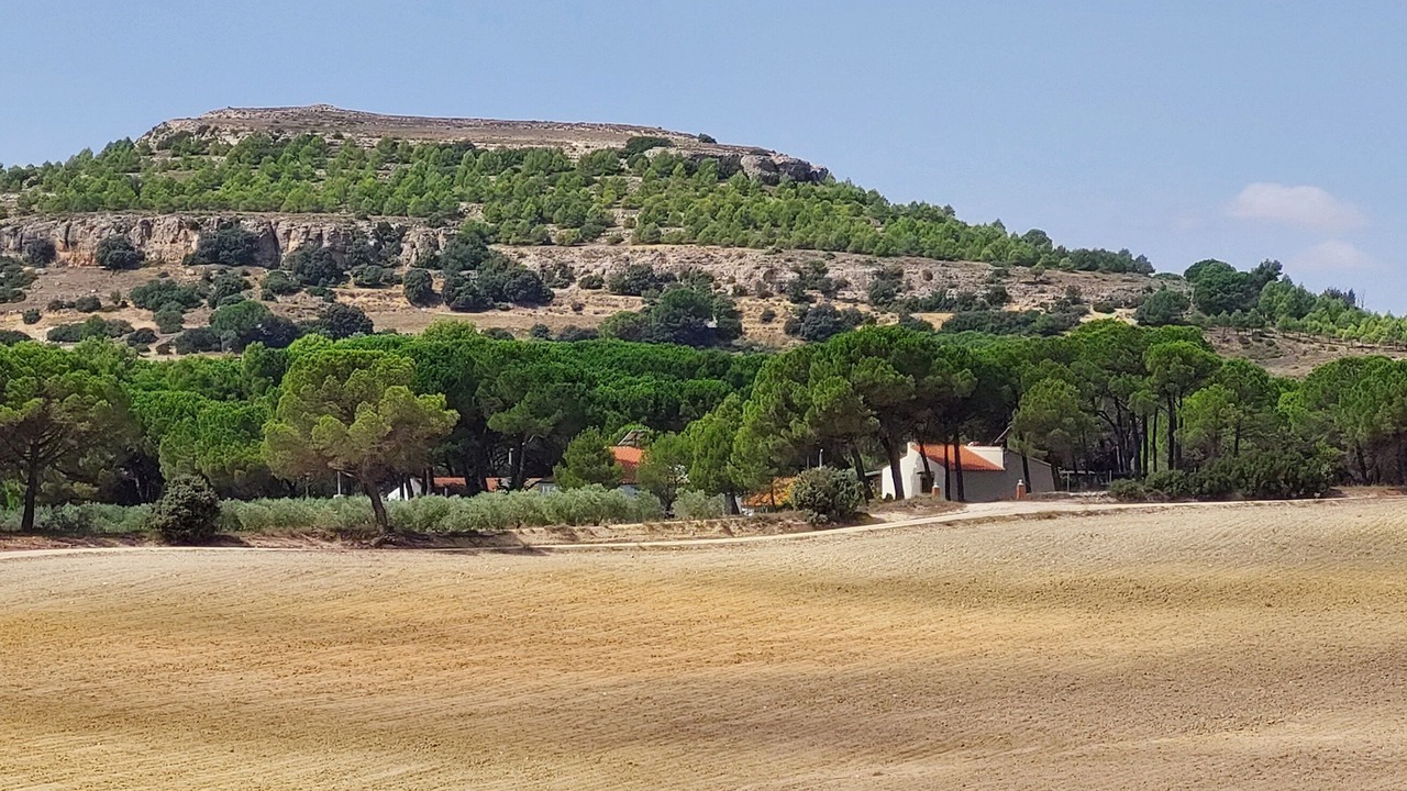 Photo of Others in Higueruela