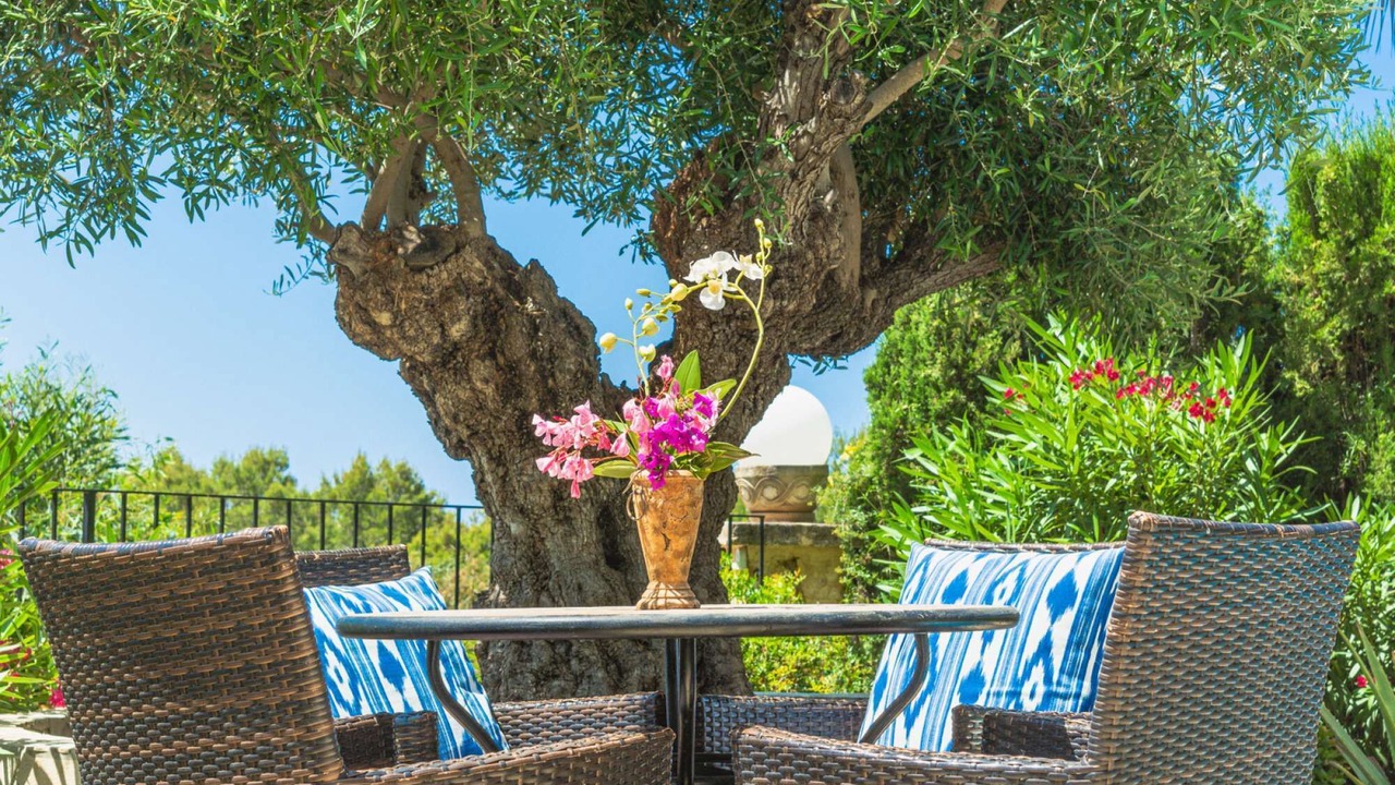 Photo of Outdoor in Costa de la Calma