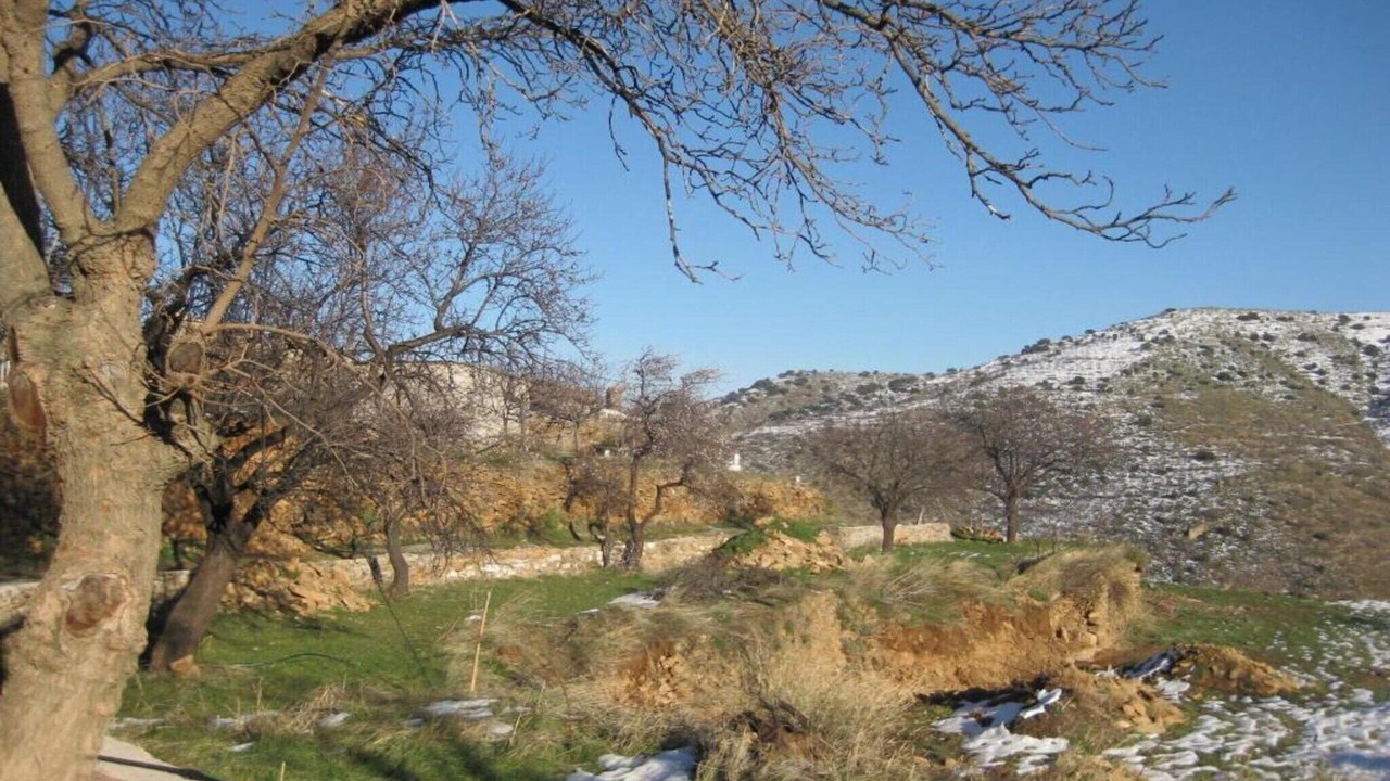 Photo of Others in Laroya