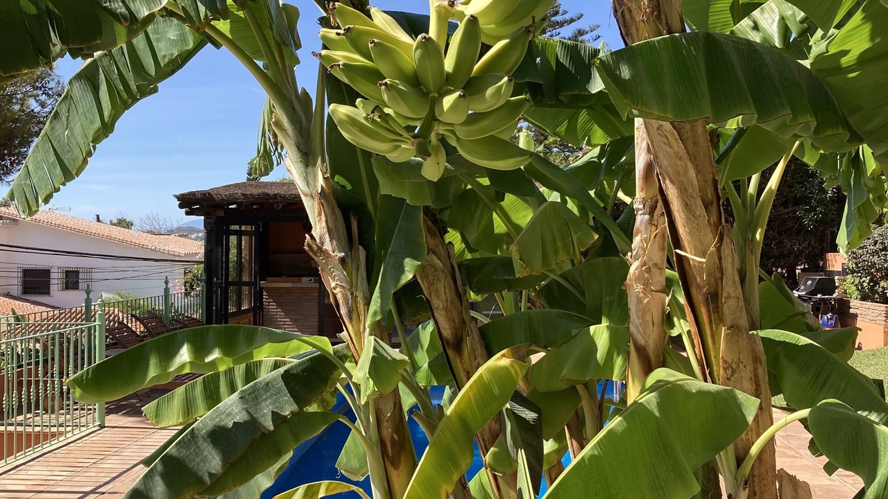 Photo of Outdoor in El Candado
