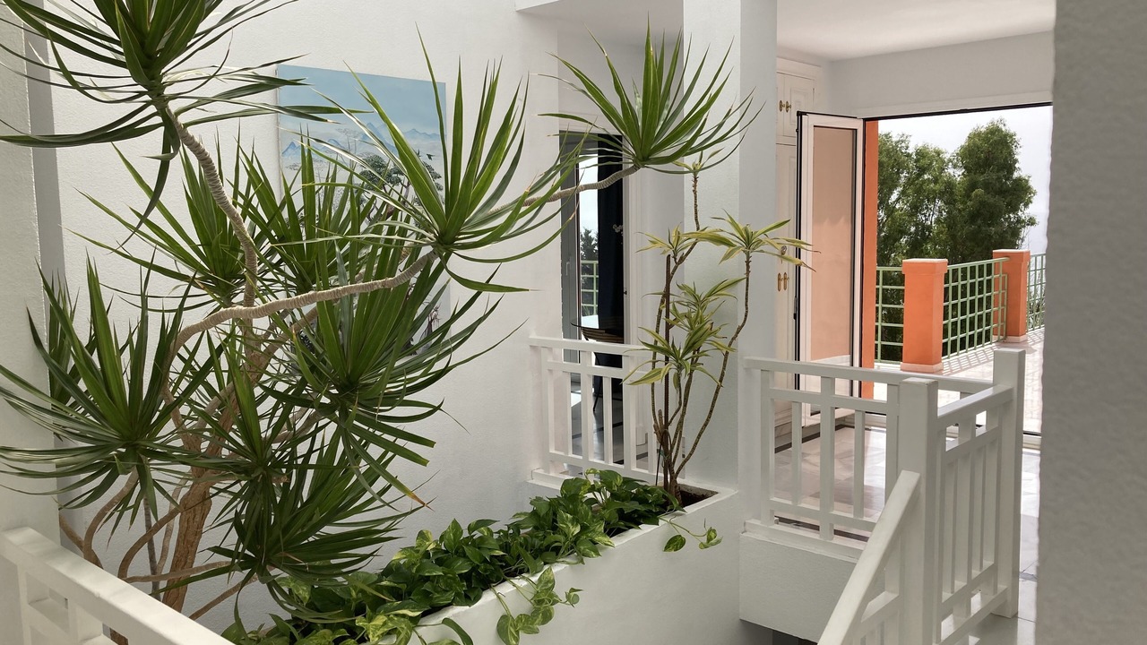 Photo of Patio Balcony in El Candado