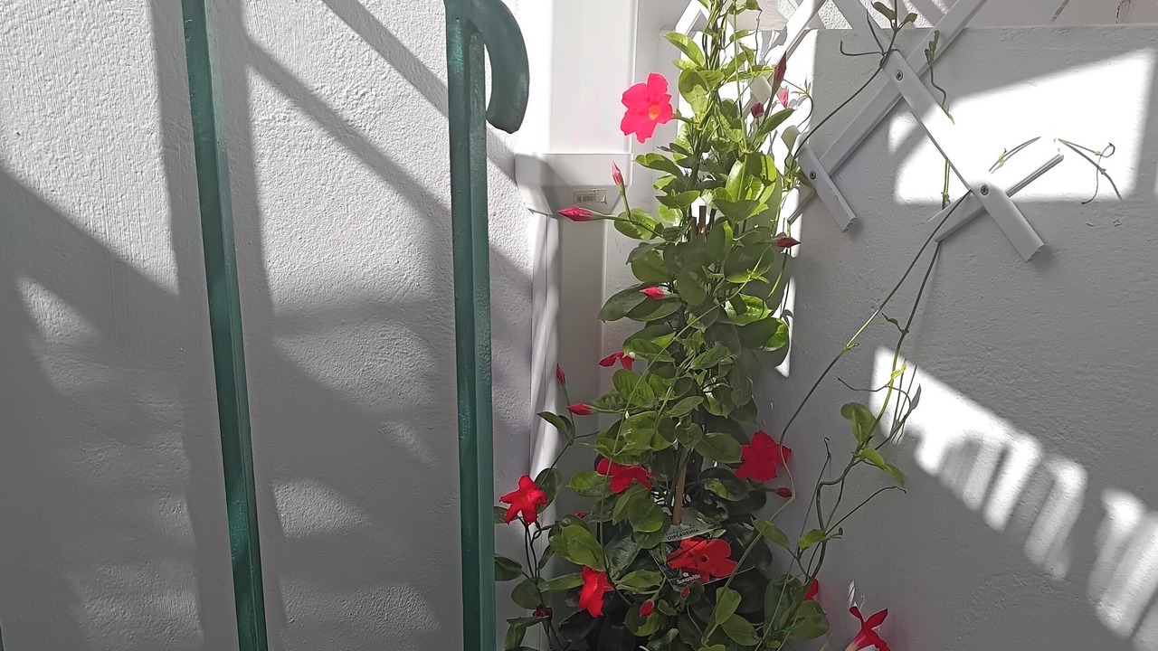 Photo of Outdoor in Castillo Caleta de Fuste