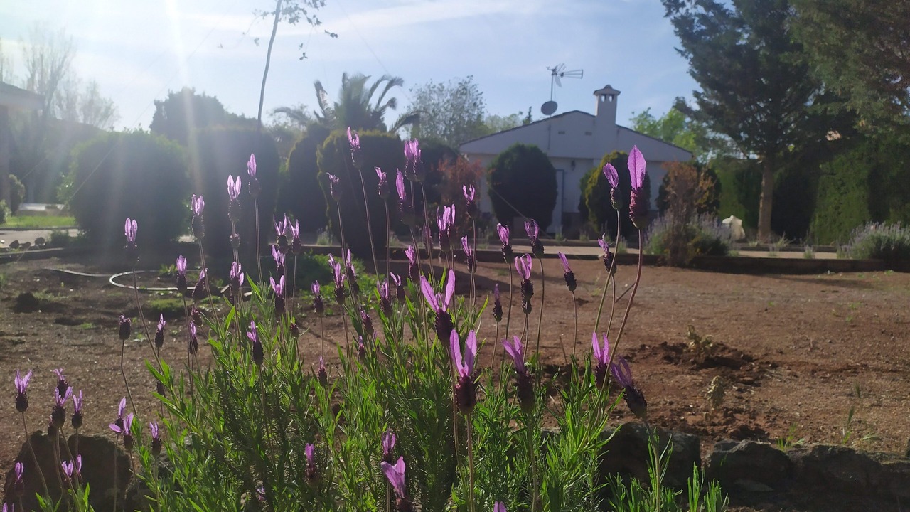 Photo of Outdoor in Poblete