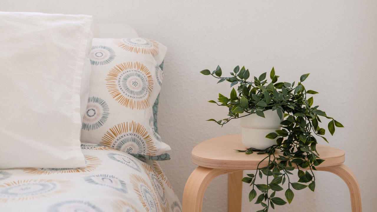 Photo of Bedroom in El Medano