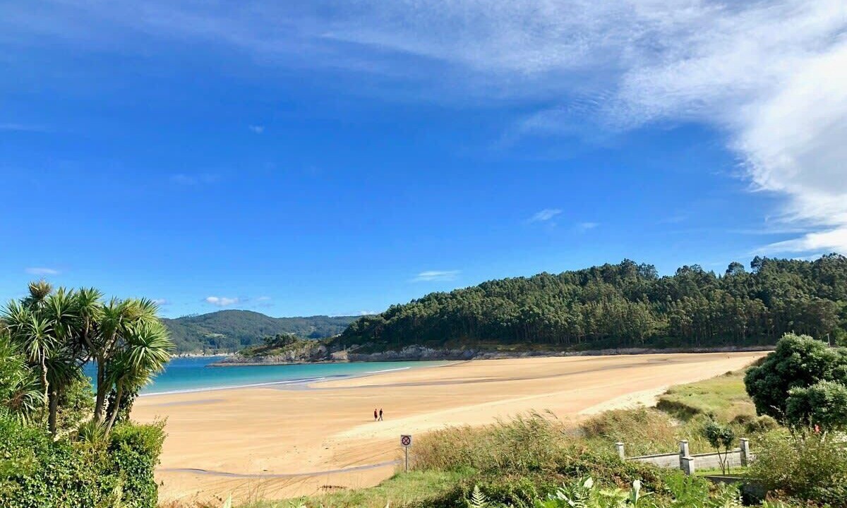 Photo of Others in Viveiro