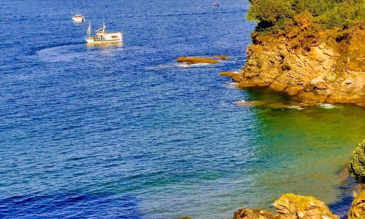 Photo of Others in Viveiro
