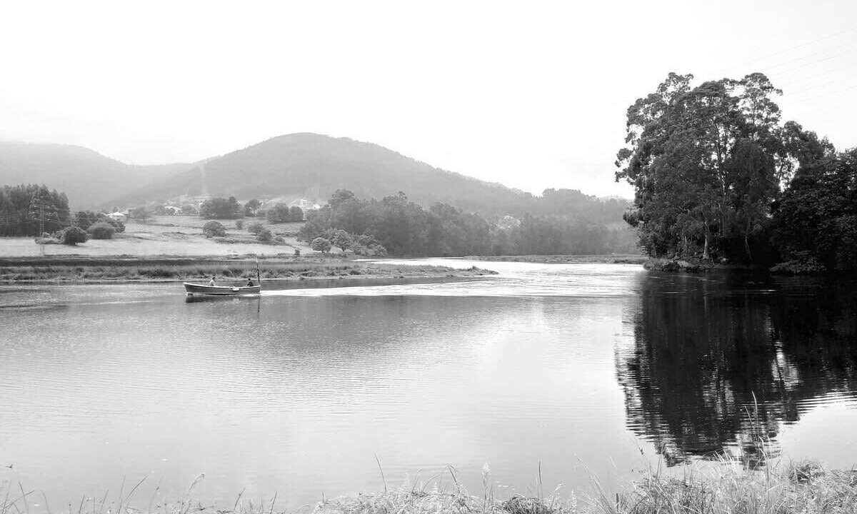 Photo of Others in Viveiro