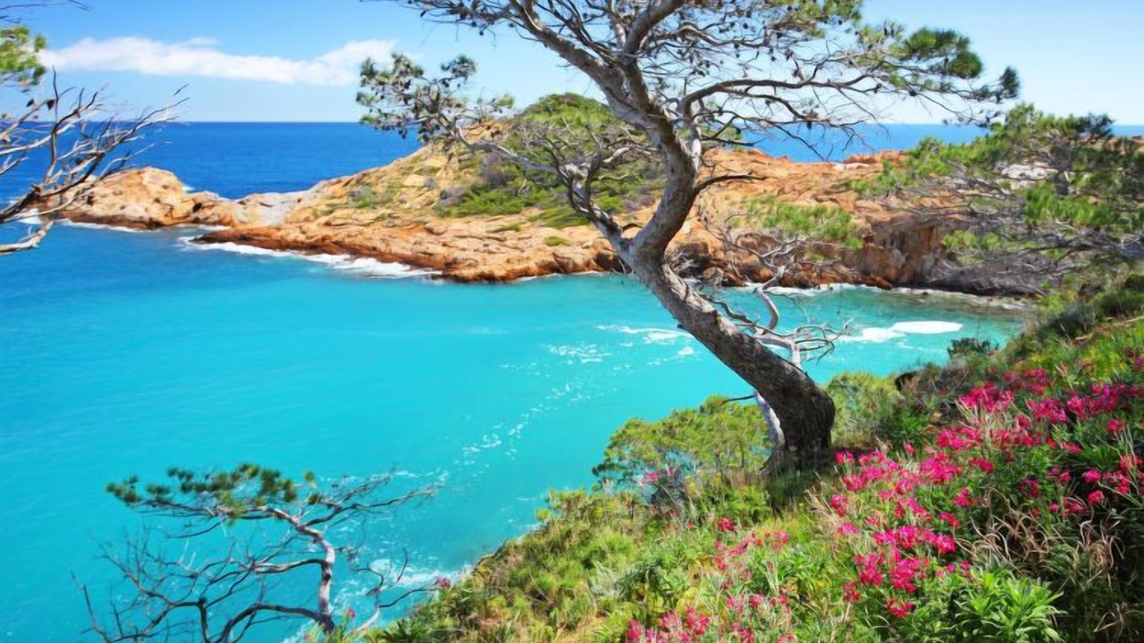 Photo of Outdoor in Sa Riera