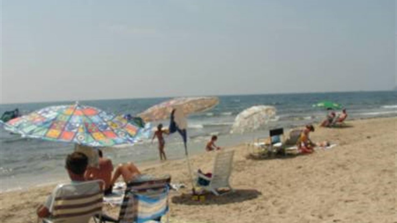 Photo of Others in Calabardina