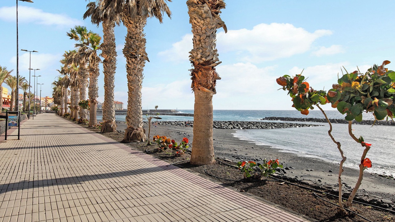 Photo of Others in Puerto de Guimar