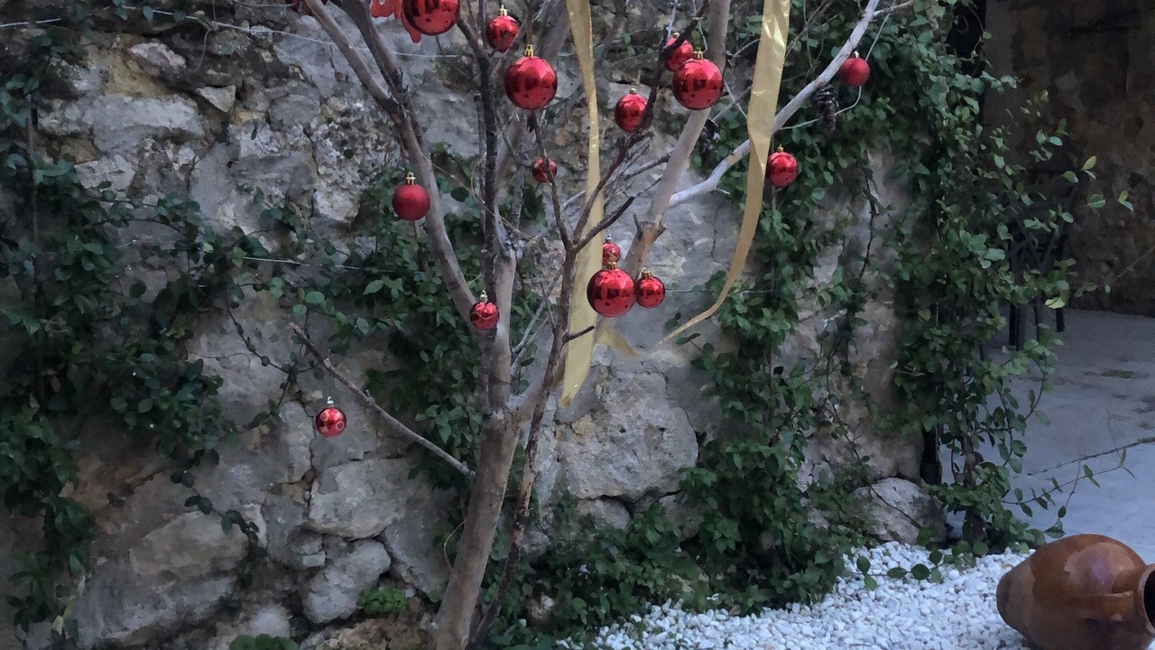 Photo of Outdoor in Sacedon