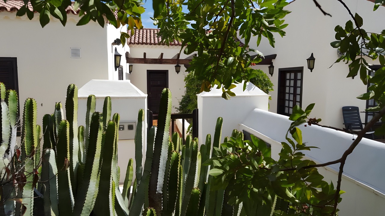 Photo of Outdoor in San Miguel de Abona