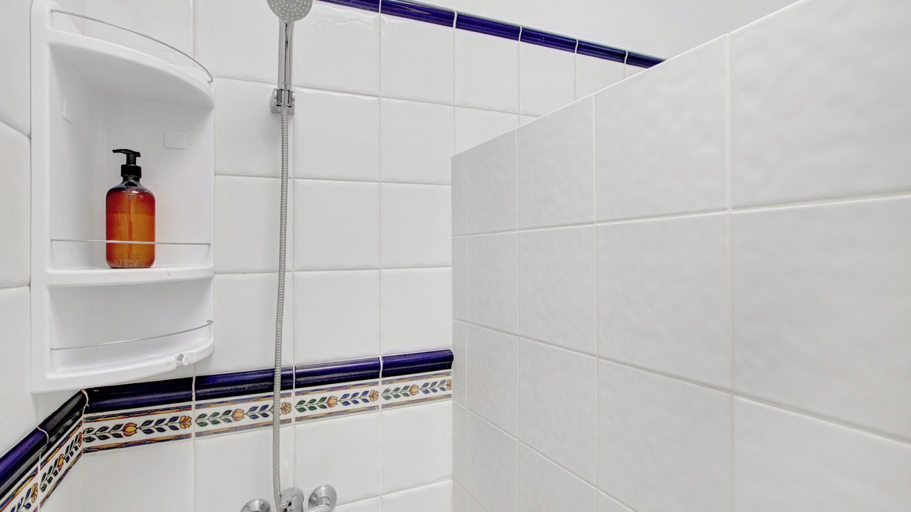 Photo of Bathroom in Buzanada