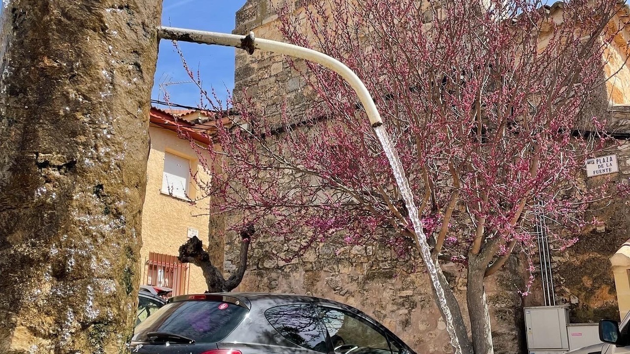Photo of Outdoor in Cogolludo