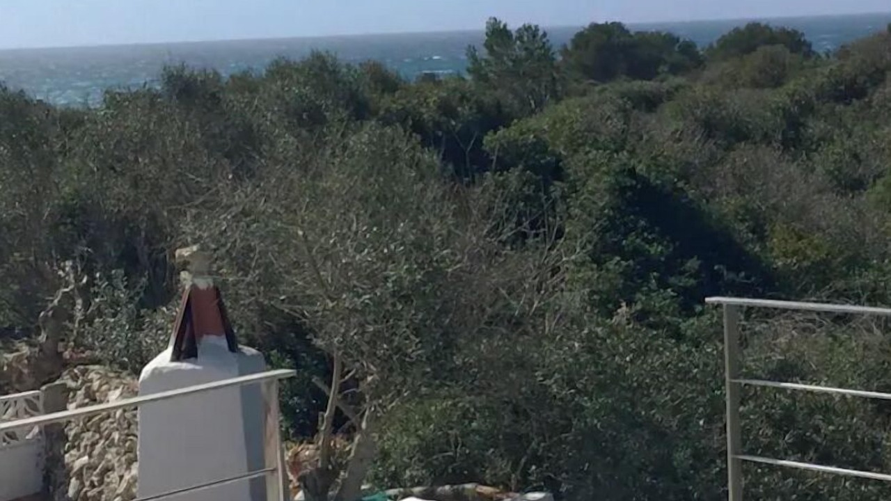 Photo of Outdoor in Mahon