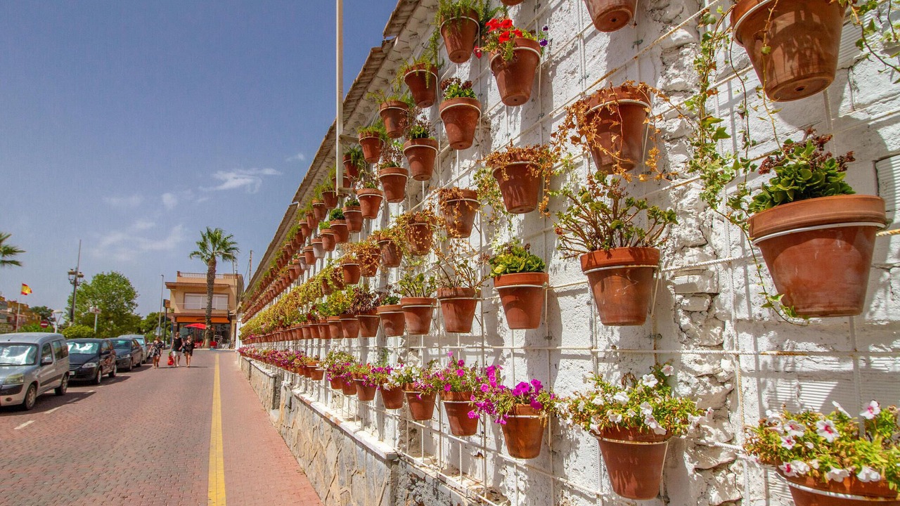 Photo of Others in Los Alcazares
