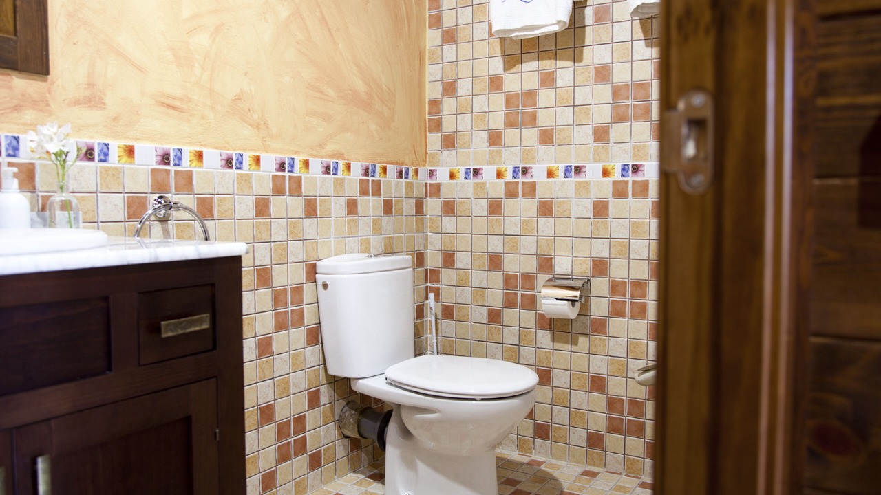 Photo of Bathroom in Pola de Lena