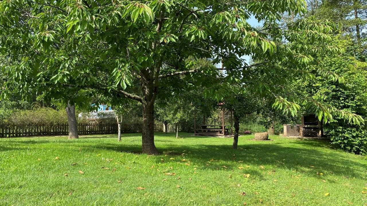 Photo of Outdoor in Arriondas