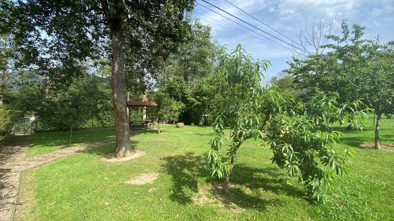 Photo of Outdoor in Arriondas