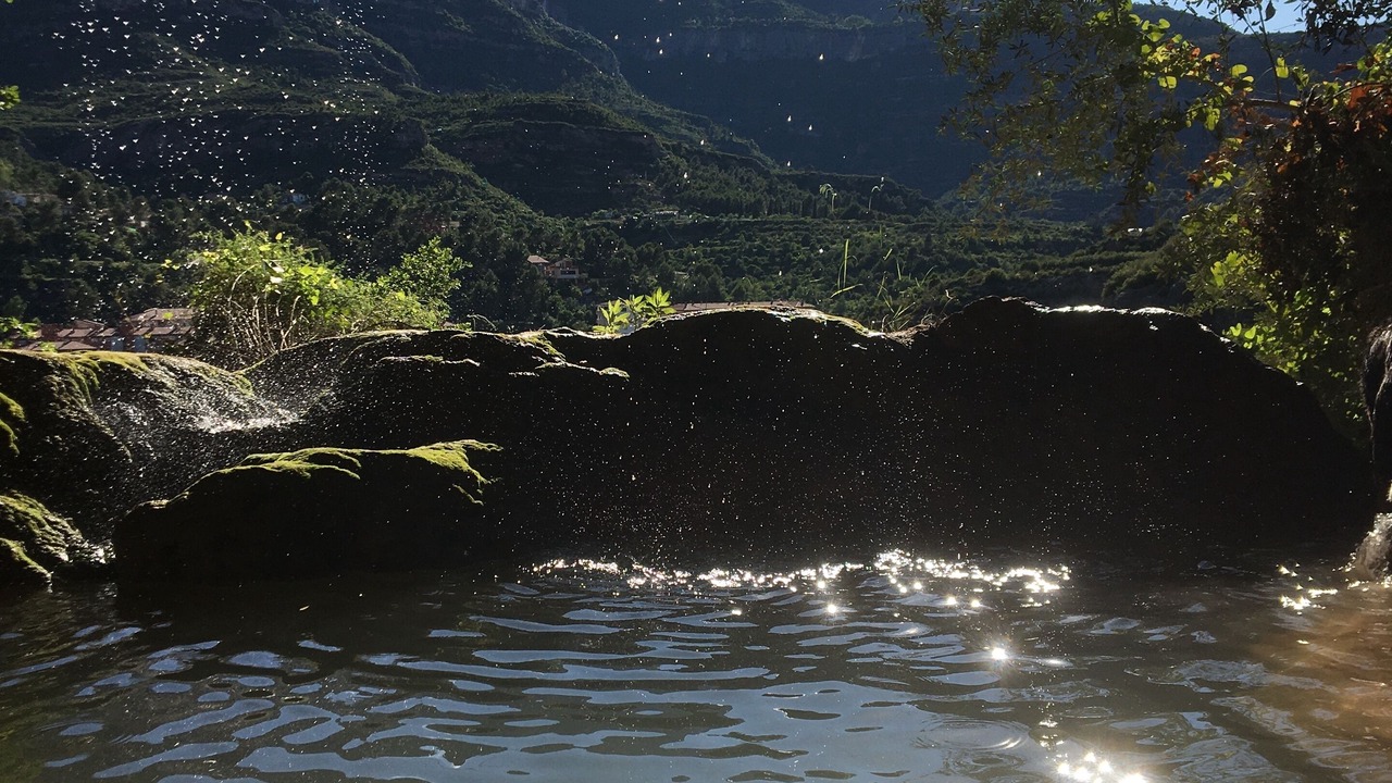 Photo of Others in Monistrol de Montserrat