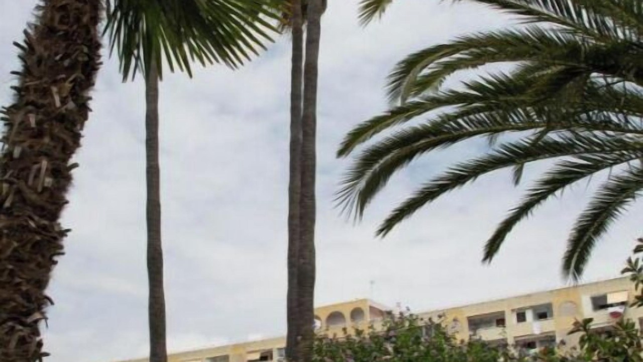 Photo of Outdoor in Playa Pobla de Farnals