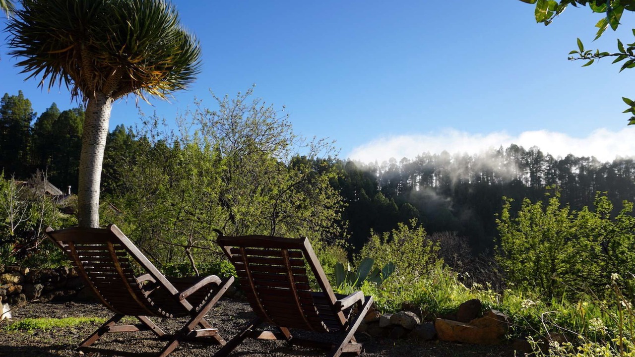 Photo of Outdoor in Las Tricias