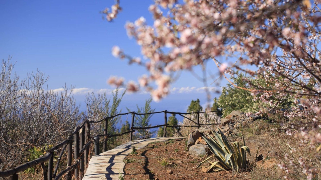 Photo of Outdoor in Las Tricias