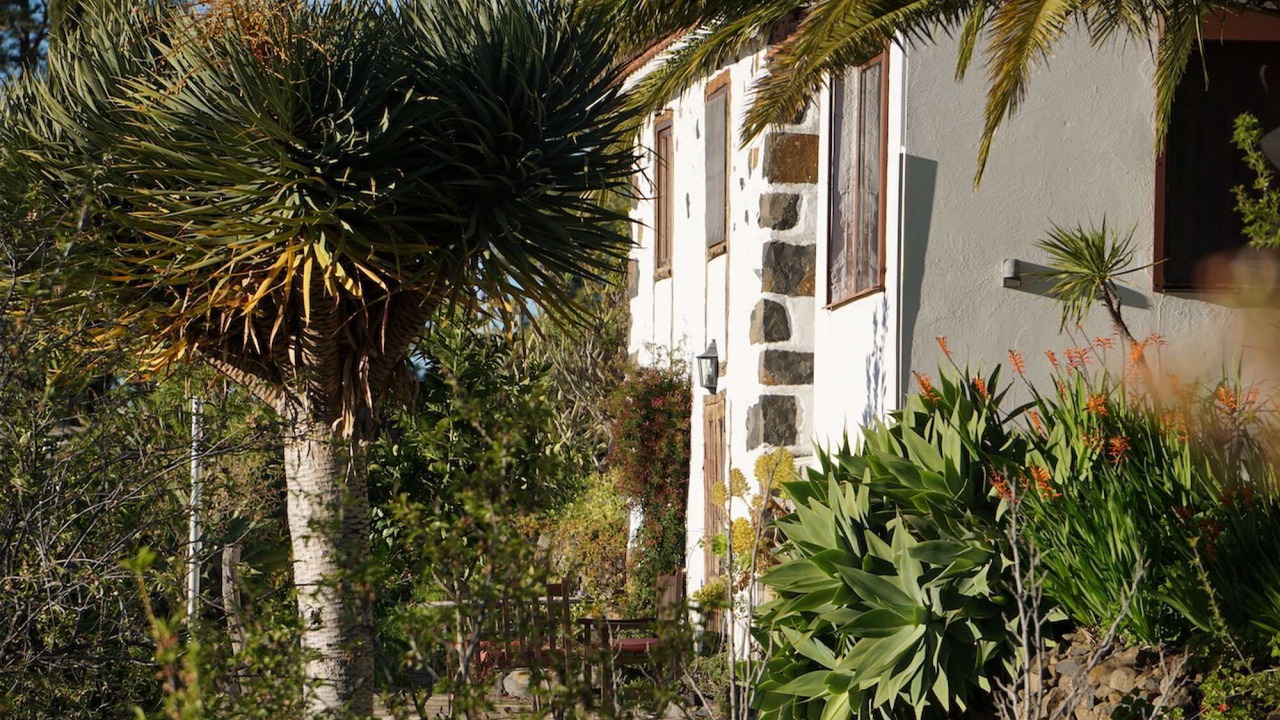 Photo of Outdoor in Las Tricias
