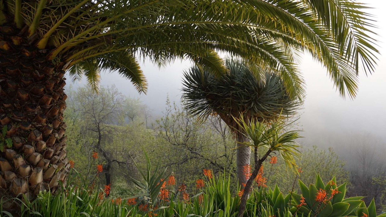 Photo of Outdoor in Las Tricias