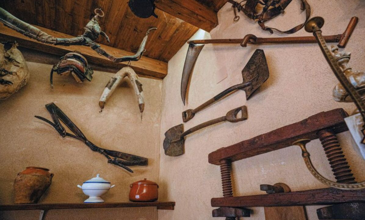 Photo of Others in Huerta de Vero