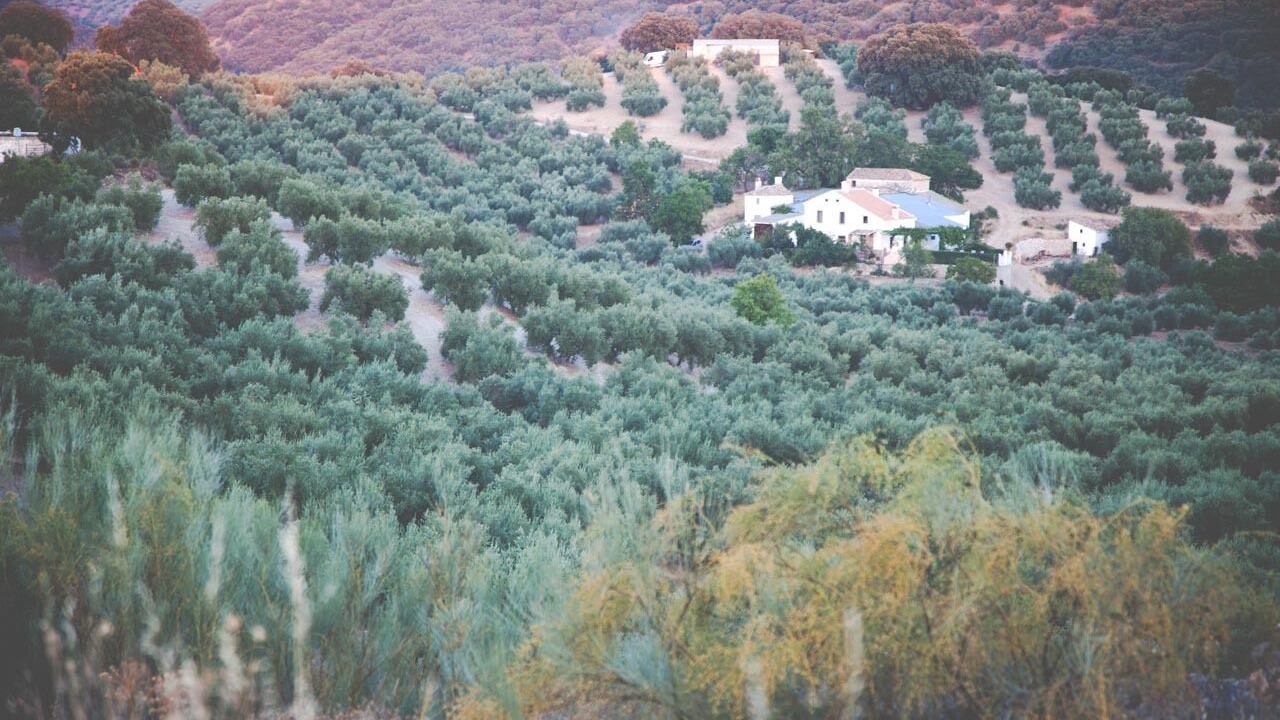Photo of Outdoor in Almedinilla