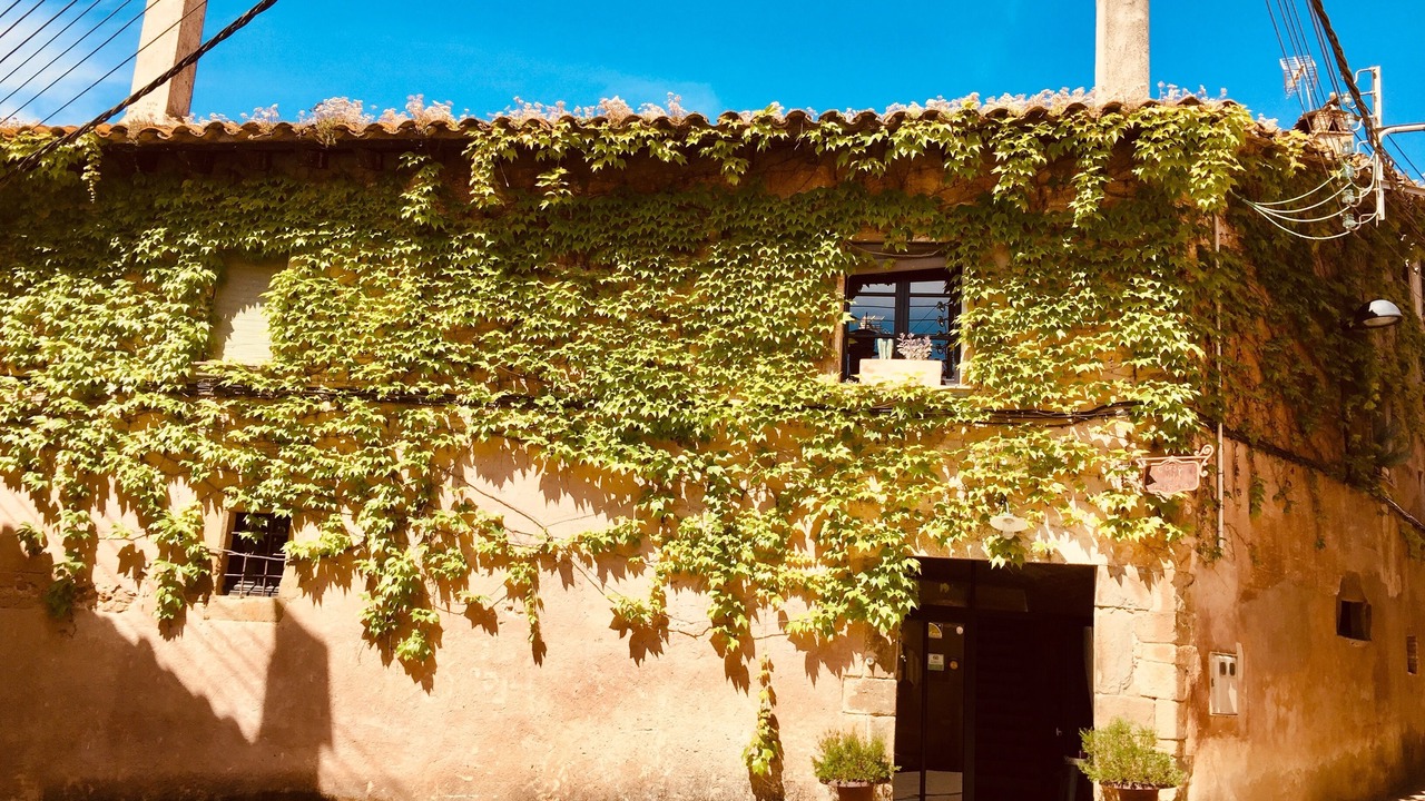 Photo of Outdoor in Sant Jordi Desvalls