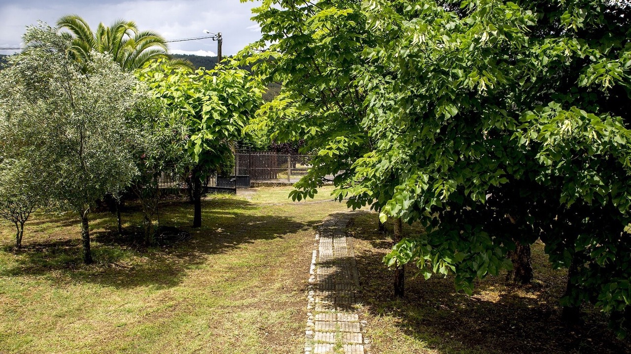 Photo of Outdoor in Pereiro de Aguiar