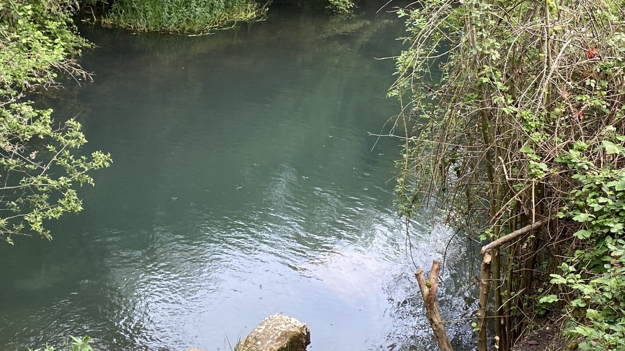 Photo of Others in Reocin de los Molinos