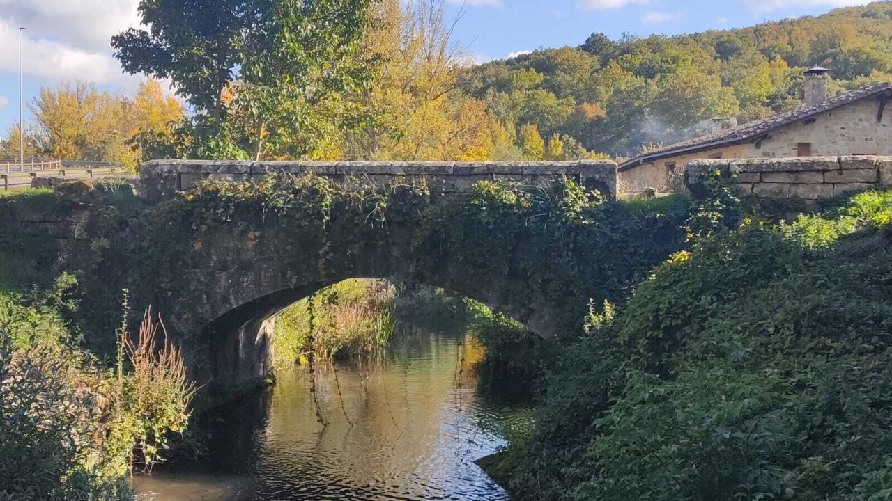 Photo of Outdoor in Reocin de los Molinos