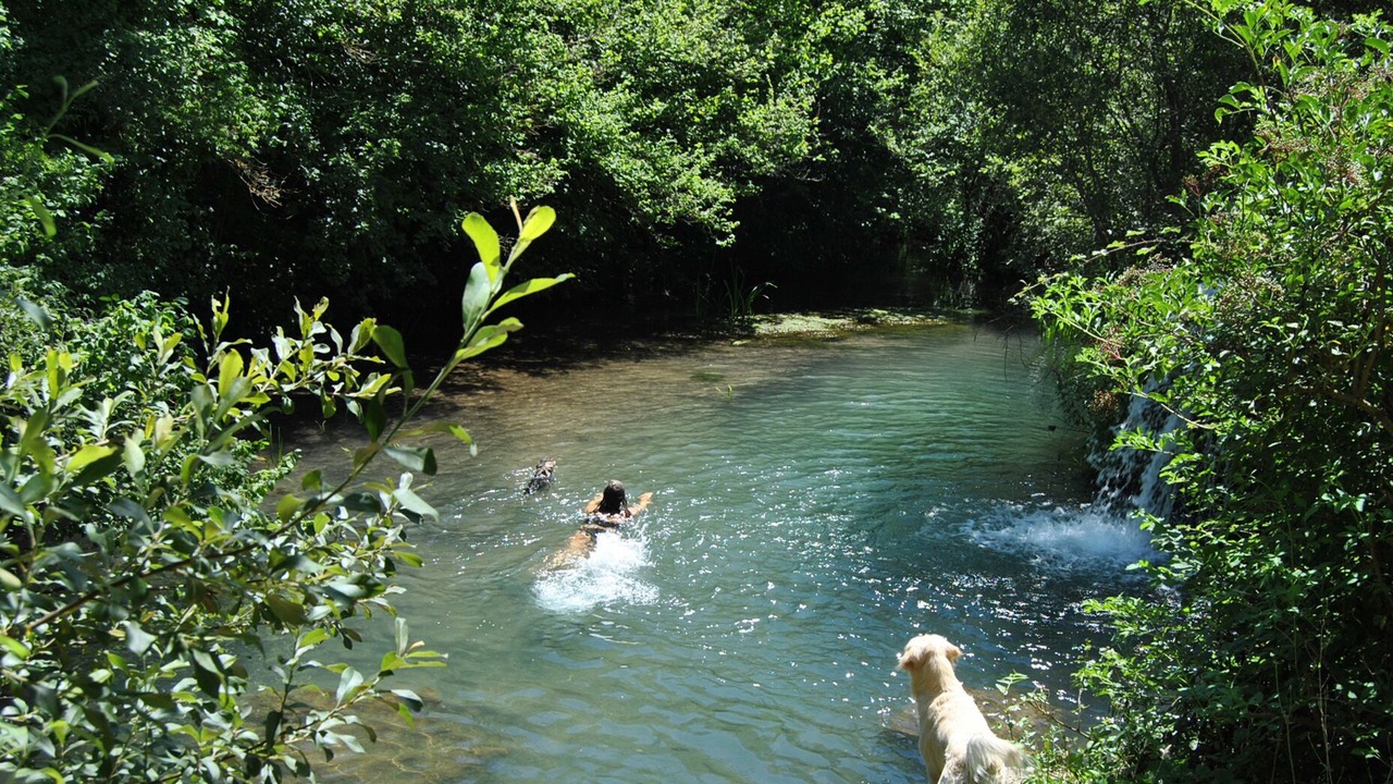 Photo of Outdoor in Reocin de los Molinos