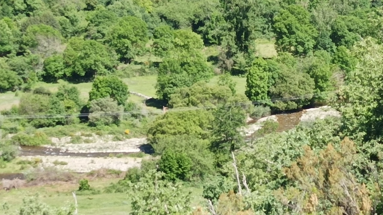 Photo of Outdoor in Azarrulla