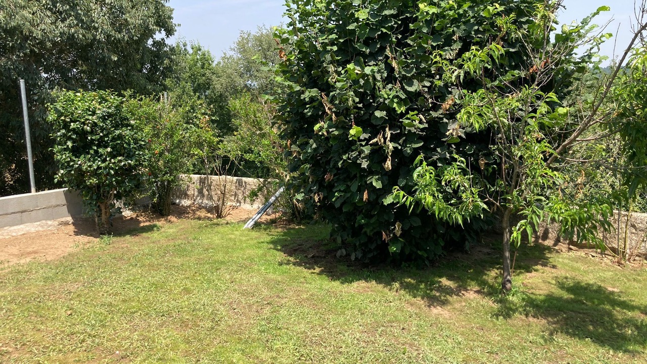Photo of Outdoor in San Cibrao Das Vinas