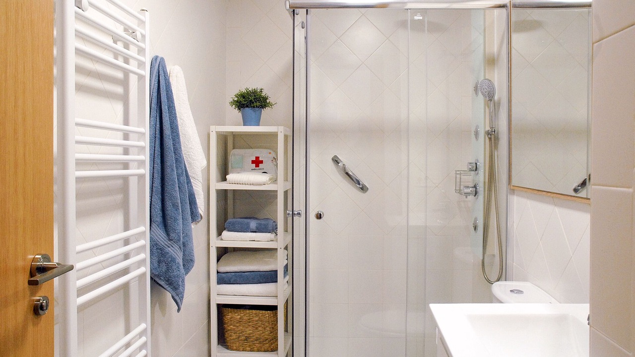 Photo of Bathroom in Burgos