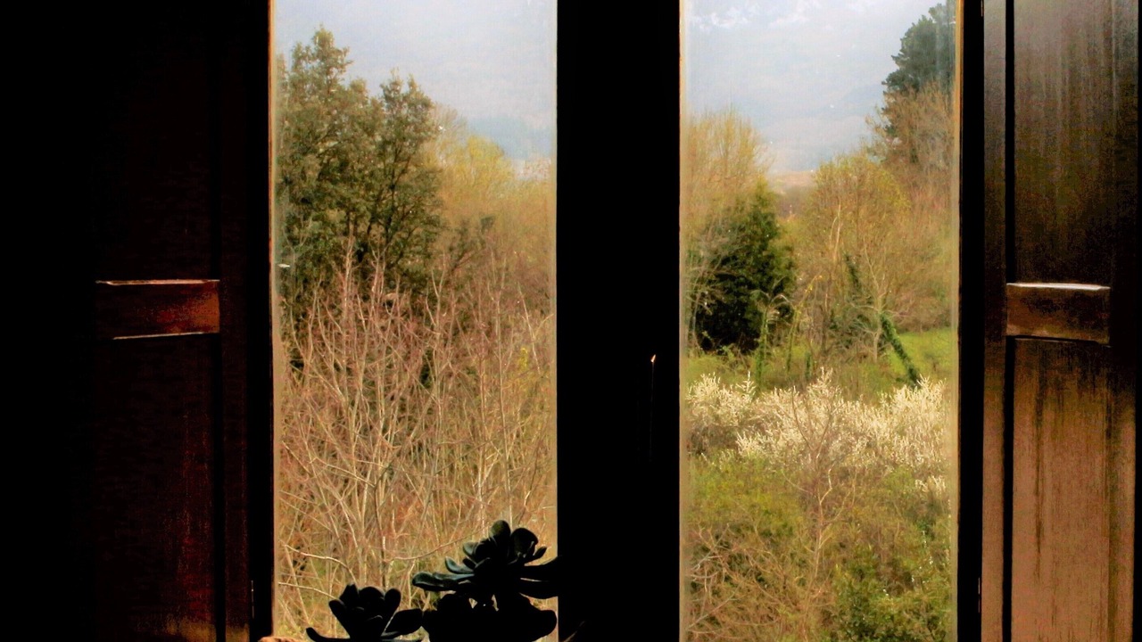Photo of Others in Lezana de Mena