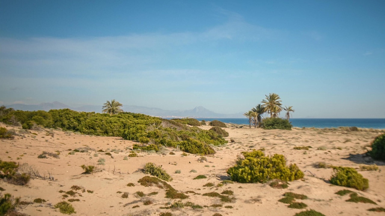 Photo of Others in Santa Pola