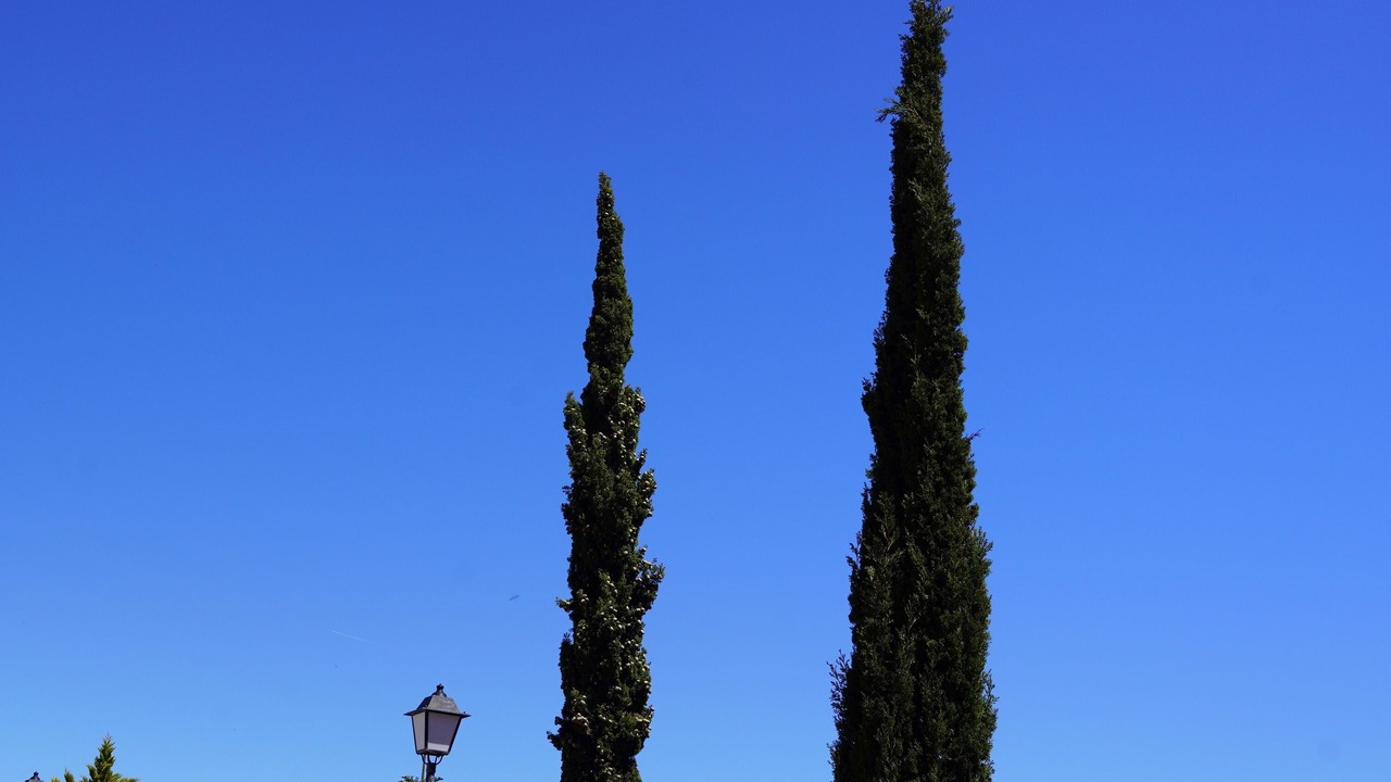Photo of Others in Fontanales