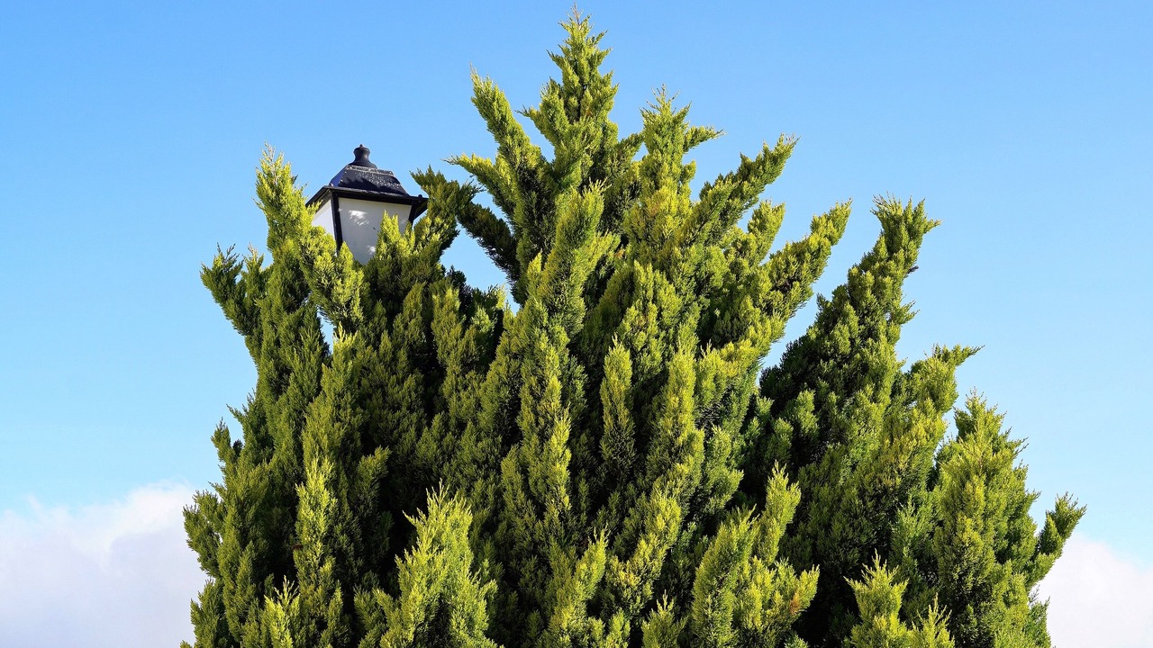 Photo of Outdoor in Fontanales