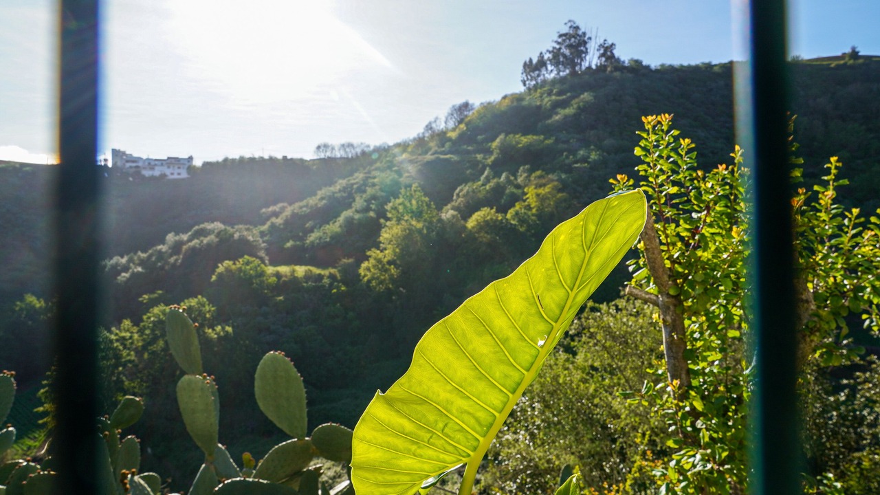 Photo of Outdoor in Fontanales