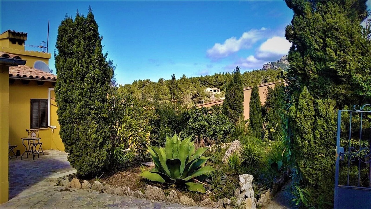 Photo of Outdoor in Banyalbufar