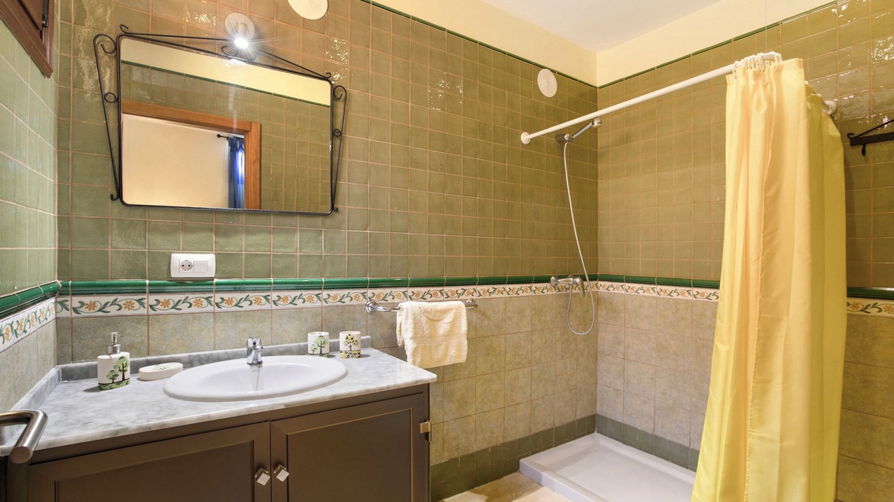 Photo of Bathroom in Icod de los Vinos