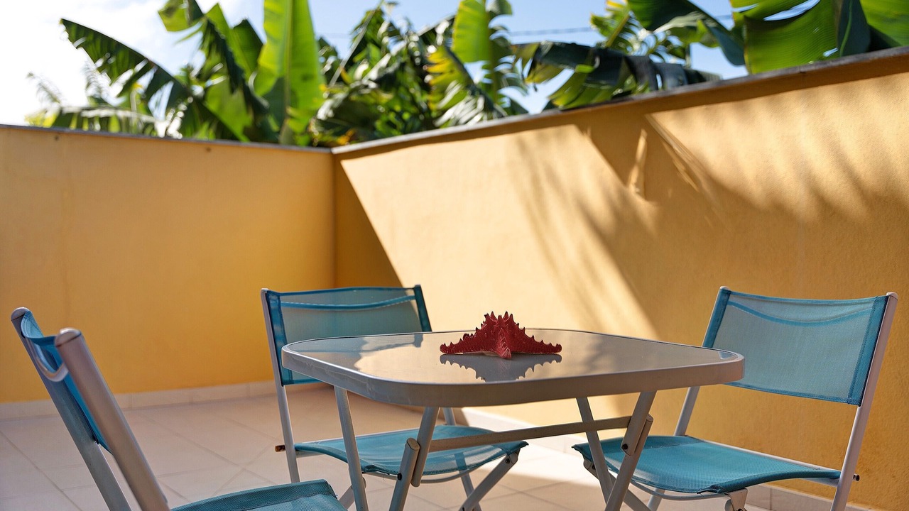 Photo of Outdoor in Tazacorte