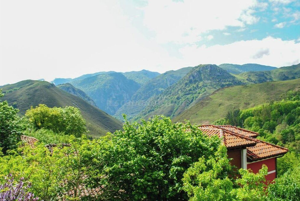 Photo of Outdoor in Penamellera Alta